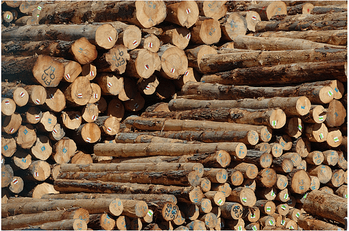 Logs - Tags and Forestry solutions